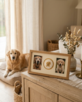 Oak nose print frame on a sideboard, where the engraved name plaque is fitted under the print