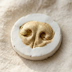 Close-up of a dog nose print in white clay painted gold