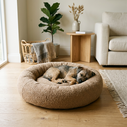 Round oatmeal boucle donut dog bed on an oak floor with a small dog curled up asleep inside